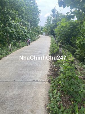 BÁN 2000M2 CÓ 100M2 THỔ CƯ,CÓ 23M MẶT TIỀN ĐƯỜNG BE TONG,GIÁ ĐẦU TƯ.