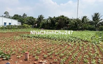 Chủ cần tiền bán nhanh lô đất thổ cư giá rẻ nhất tại Xuân Lộc,Đồng Nai