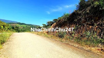 Đất đẹp. View đẹp. Mặt tiền đường nhựa dài hơn 200m. Sổ hồng riêng