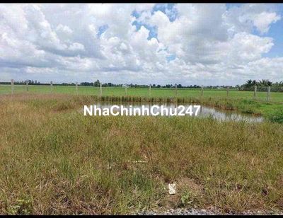 Bán 1000m2 Đất Full Thổ Thích Hợp Làm Nhà Vườn Có Nhà Có Ao Sẵn