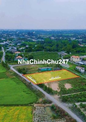 Đất thổ cư 1000 m2 20×50) Nhị Thành Thủ Thừa