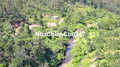 Bán trang trại nhà Vườn 1.2 heta 12.000m2 CLN bám suối to nước chảy