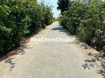 300m2 Full Thổ bán Chỉ 499 triệu. sổ sẵn ở xã Quê Mỹ Thạnh