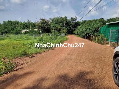 Bán Đất Cạnh KCN Thạnh Đức Chỉ 500m Full Thổ SHR 100% - Sang Tên Ngay