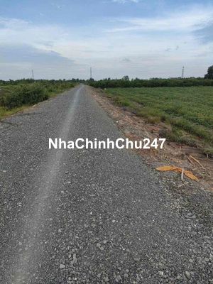 2Tỷ850/3669m2 Đất vườn MT Kênh 8. Được phân lô. CHÍNH CHỦ