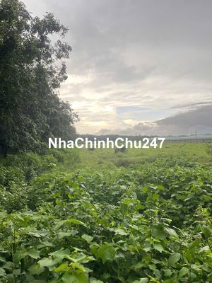 CẦN BÁN LÔ ĐẤT Ở TÂN BIÊN - TÂY NINH (CHÍNH CHỦ)