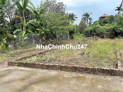 Chính chủ bán Lô góc 59,2 m Hiền Ninh-Sóc Sơn-HN. Đất đẹp giá đầu tư