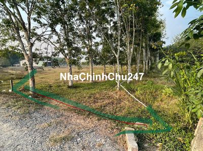 Đất thồ cư giá 2,5 triệu/m2, SHR ngay chủ, KT:10x50m (492m2)