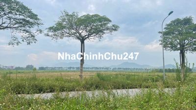 Đất đấu giá Hương Đình _ Mai Đình