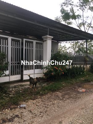 Cần bán mảnh đất chính chủ không qua môi giới