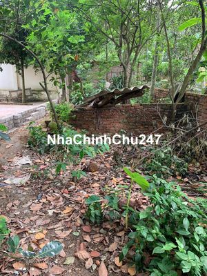 CHÍNH CHỦ BÁN ĐẤT SỔ SẴN GIÁ *** KHU VỰC SƠN TÂY