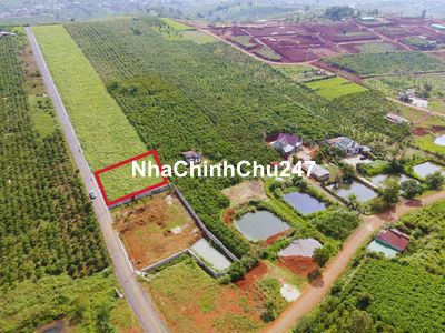 CHÍNH CHỦ, BÁN LÔ BIỆT THỰ CẠNH SUNVALLEY FARM, BẢO LÂM, 511M2