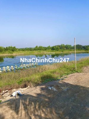 Chính chủ cần bán 3000m2 đất đường xe hơi tại xã Phước Vĩnh Đông