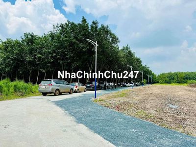 Chính chủ cần bán gấp 2200 m2 đất tại Dầu Tiếng Bình Dương