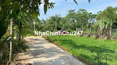 chính chủ cần bán đất thổ cư điện hồng, điện bàn, quảng nam