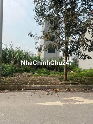 Chính Chủ Bán Nhanh, Lô Đất Đường Huỳnh Văn Cù, Chánh Nghĩa, Thủ Dầu 1