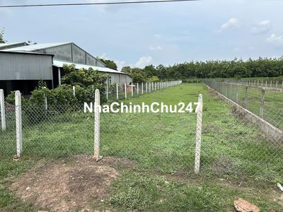 Đất sổ hồng 1.043m2, Ấp Suối Cao B, Xã Phước Đông