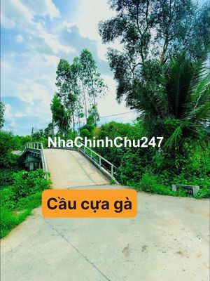 Cần bán đất nông nghiệp