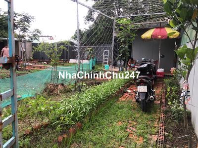 Chính chủ bán nhà vườn 250m2 đường Tam Bửu Tự,cách đường vành đai 300m