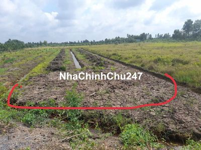 CHÍNH CHỦ BÁN ĐẤT HƠN 1000M2 TẠI BẾN LỨC