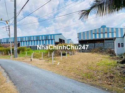 Chính chủ cần bán gấp 800 m2 đất có 100 m2 thổ cư tại Bình Dương