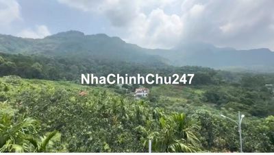 Chính chủ bán lô đất đẹp tại Ba Vì, thôn Dy – View đồi núi tuyệt đẹp