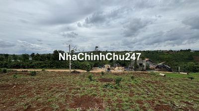 Chính chủ bán đất Di Linh 175m2 sẵn thổ cư, đường bê tông, < ql20 5km