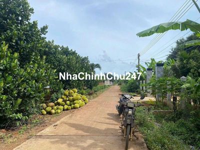 Chính chủ kẹt ngân hàng bán 1000m2 (13x60m) nở hậu 20m giá bể 199tr