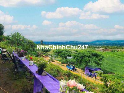 Bán lô đất ven Đà Lạt view săn mây cực đẹp sổ hồng có sẵn giá 1ty25