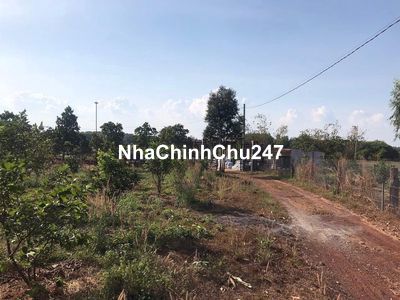 2851m2 có 141,8m thổ cư, 2 mặt tiền đường đất với sỏi đỏ, sổ hồng