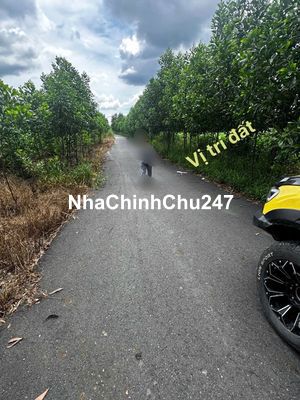 Chính chủ cần bán 85m2 tại xã Long Đức chỉ cách phố Phùng Hưng 800m