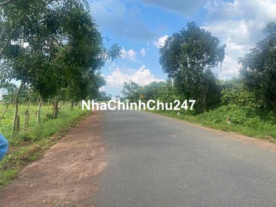 Đất chính chủ ngộp cần bán