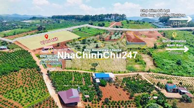 Chủ NGỘP cần bán 342m2 đất SÁT NHẬP TP ĐÀ LẠT giá chỉ 980 triệu