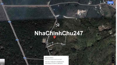 Chính chủ bán đất lớn 1,6ha ngay trung tâm xã Tân Định, Bắc Tân Uyên