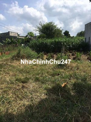 ĐẤT CỦ CHI DIỆN TÍCH KHỦNG