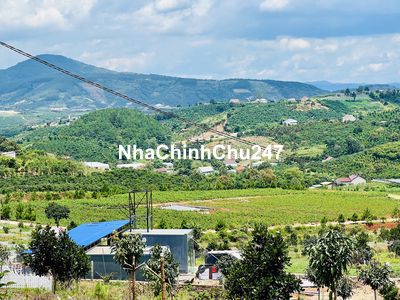 Đất nghỉ dưỡng cách Đà Lạt 28km view đồi thông săn mây