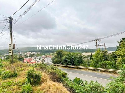 3500m2 ngang 42m MT QL20, Xuân Thọ, view rừng thông, săn mây tại đất