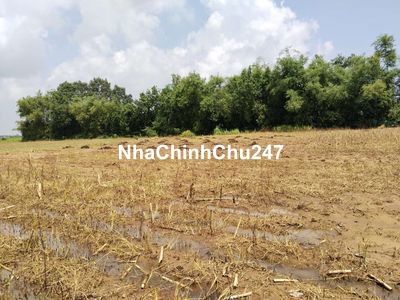 Bán đất trà vinh huyên cầu ngang