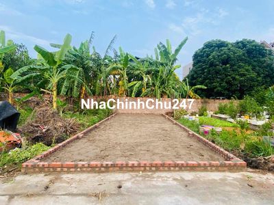 CHÍNH CHỦ Gửi bán gấp đất Xuân Nộn, Đông Anh HN Đường