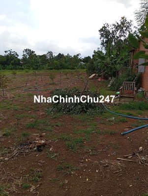 Chủ bán mảnh vườn nghỉ dưỡng