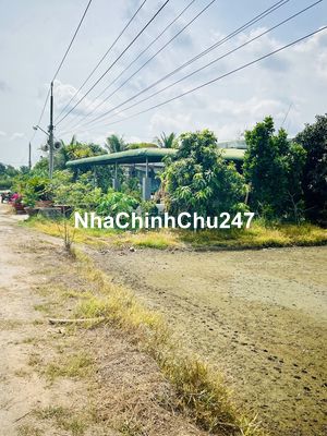 Đất Sổ Đỏ 295 m2 ở Bến Cầu - Tây Ninh cần bán