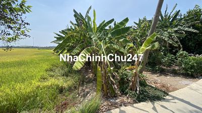 BÁN ĐẤT THỔ CƯ KÈM ĐẤT LÚA NHỊ THÀNH, THỦ THỪA, LONG AN