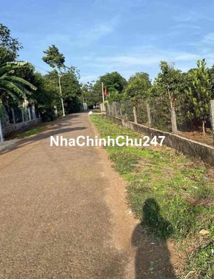 3100m2 đất vườn, có suối sau đất, gần đường lớn và có sổ