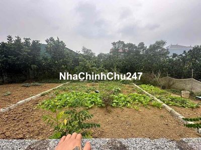 156m nhỉnh 1 tỷ tí thôi