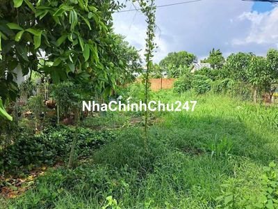 CHÍNH CHỦ CẦN BÁN GẤP LÔ ĐẤT FULL THỔ CƯ, SHR 650TR