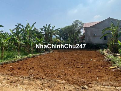 Chính Chủ Cần Tiền Bán Nhanh Lô Đất 175m2