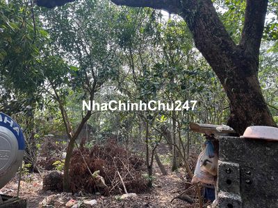 Đất chính chủ hơn 1000m2 hộ khẩu Hà Nội