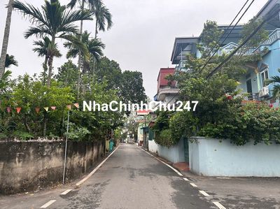 CHÍNH CHỦ BÁN LÔ ĐẤT TẠI VIÊN AN, ỨNG HOÀ, HÀ NỘI