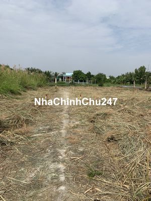 CẦN BÁN ĐẤT ĐẤT - CHÍNH CHỦ - PHƯỚC LẠI, CẦN GIUỘC, LONG AN