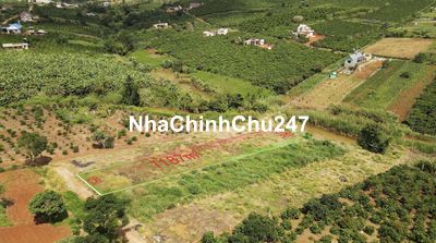 💯💯 1187m2 Sổ Hồng Chính Chủ - Thổ Cư Có Sẵn -> nở hậu